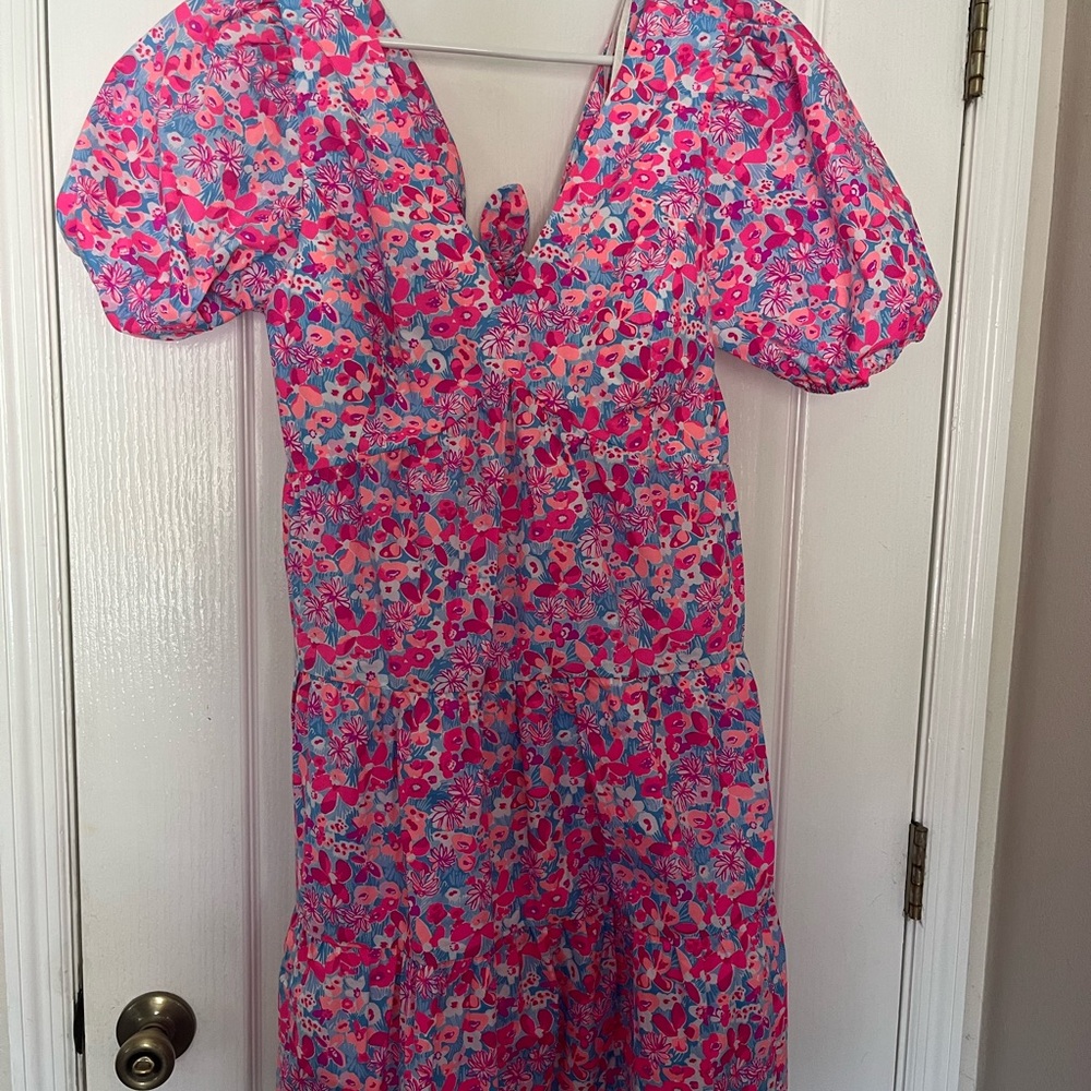 Lilly Pulitzer Pink and Blue Floral Dress